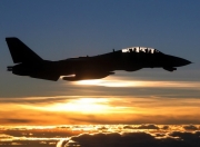 爱游戏入口-新疆队对阵国王，范弗利特带队取胜，一场跨越文化的篮球对话