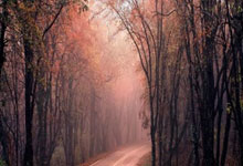 爱游戏体育-迈凯伦横扫索伯车队，勒克莱尔惊艳四座