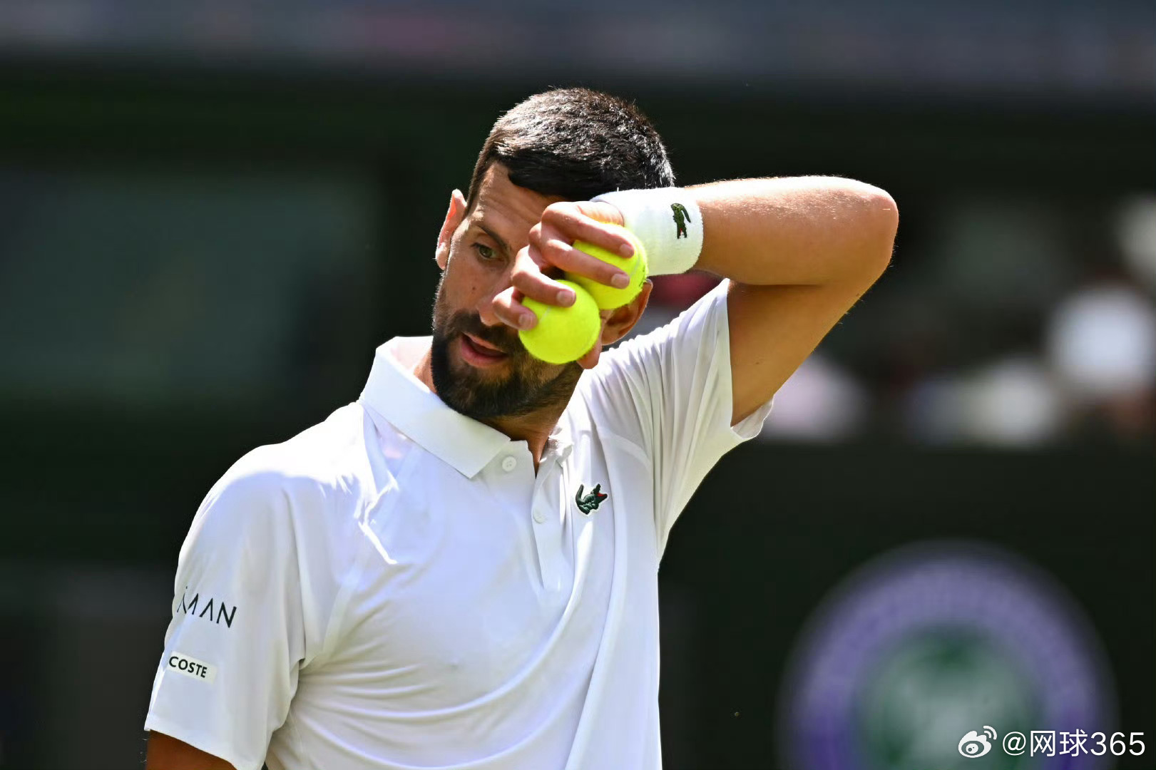 温网力克法网，德约科维奇扛起全队