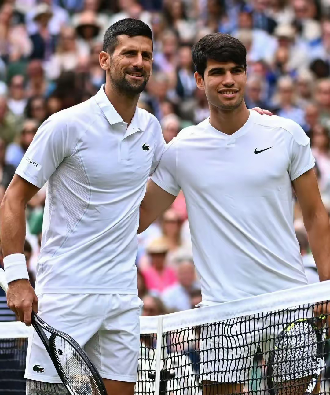 温网鏖战蒙特卡洛大师赛，德约科维奇点燃赛场