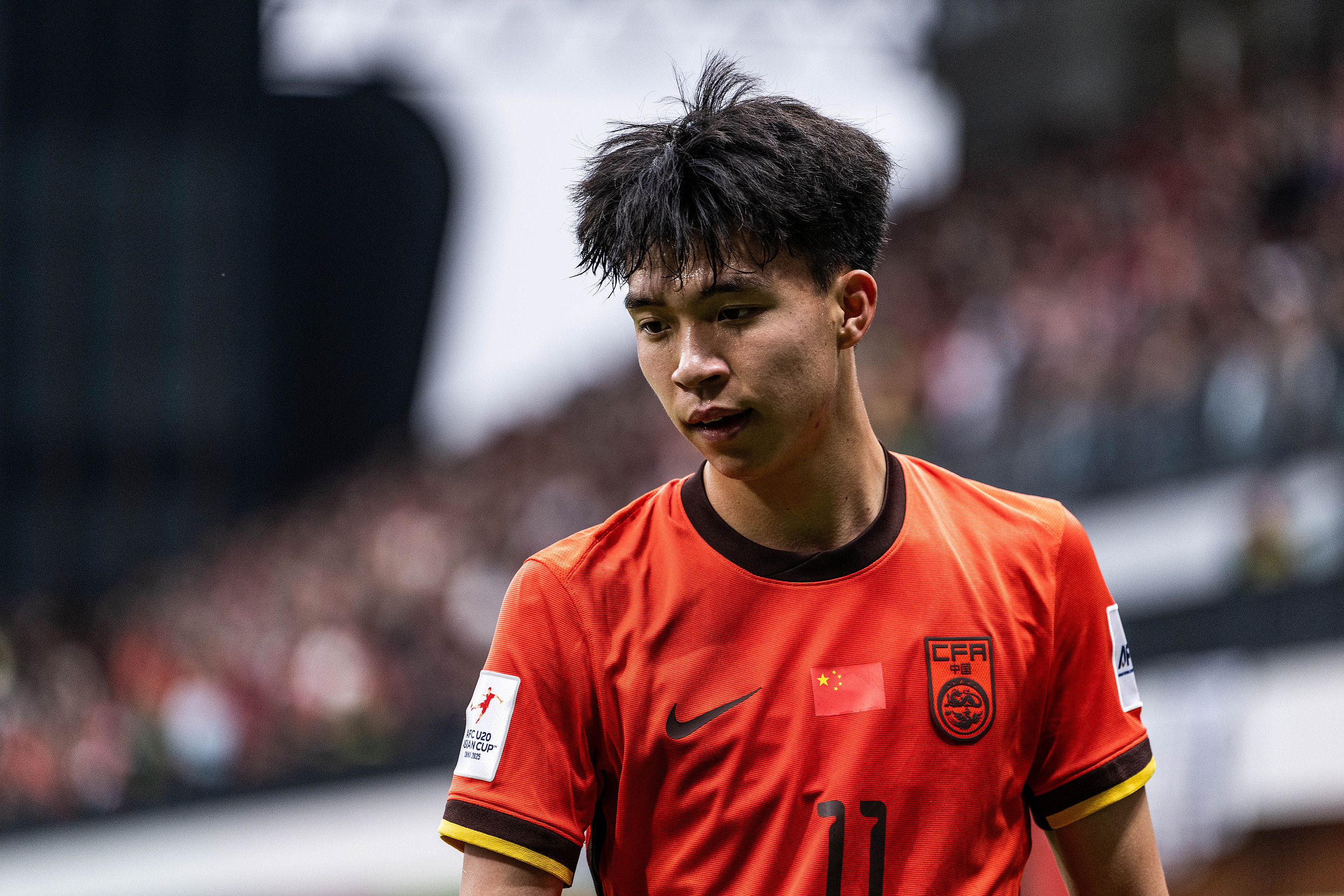 瑞典队横扫法国队，王皓状态火热