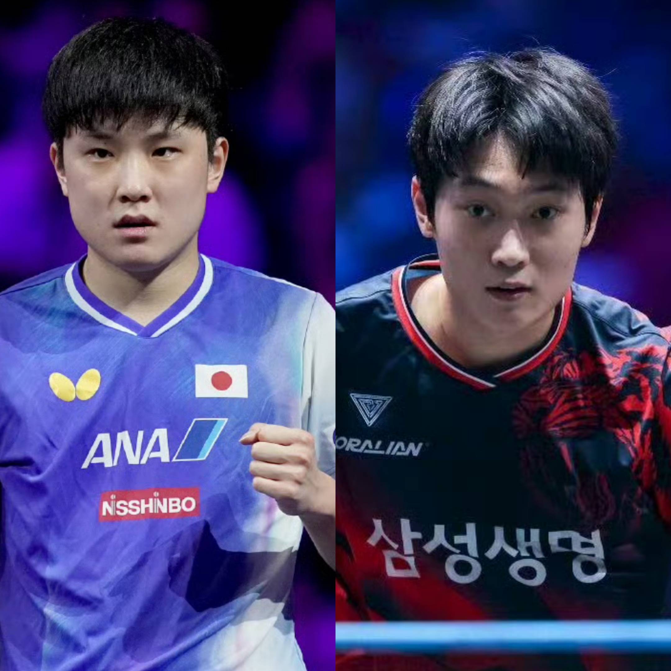 日本队完胜韩国队，张本智和高光表现