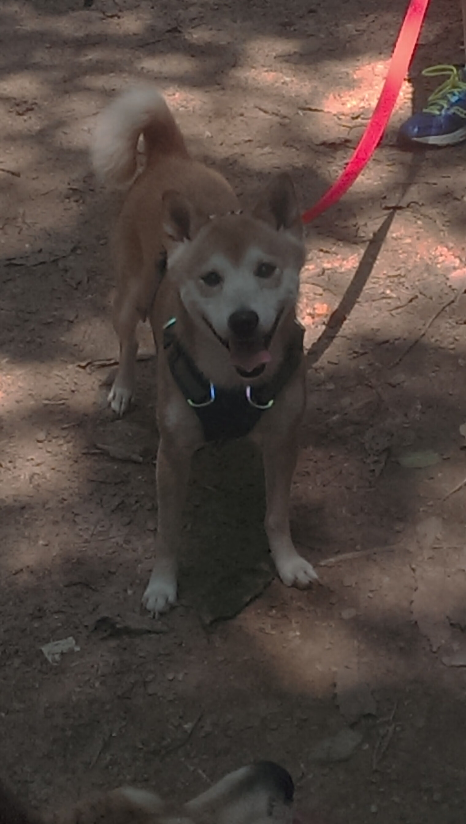 当星光黯淡时，皇马爆冷马里之夜与斯通斯的欧冠决赛救赎