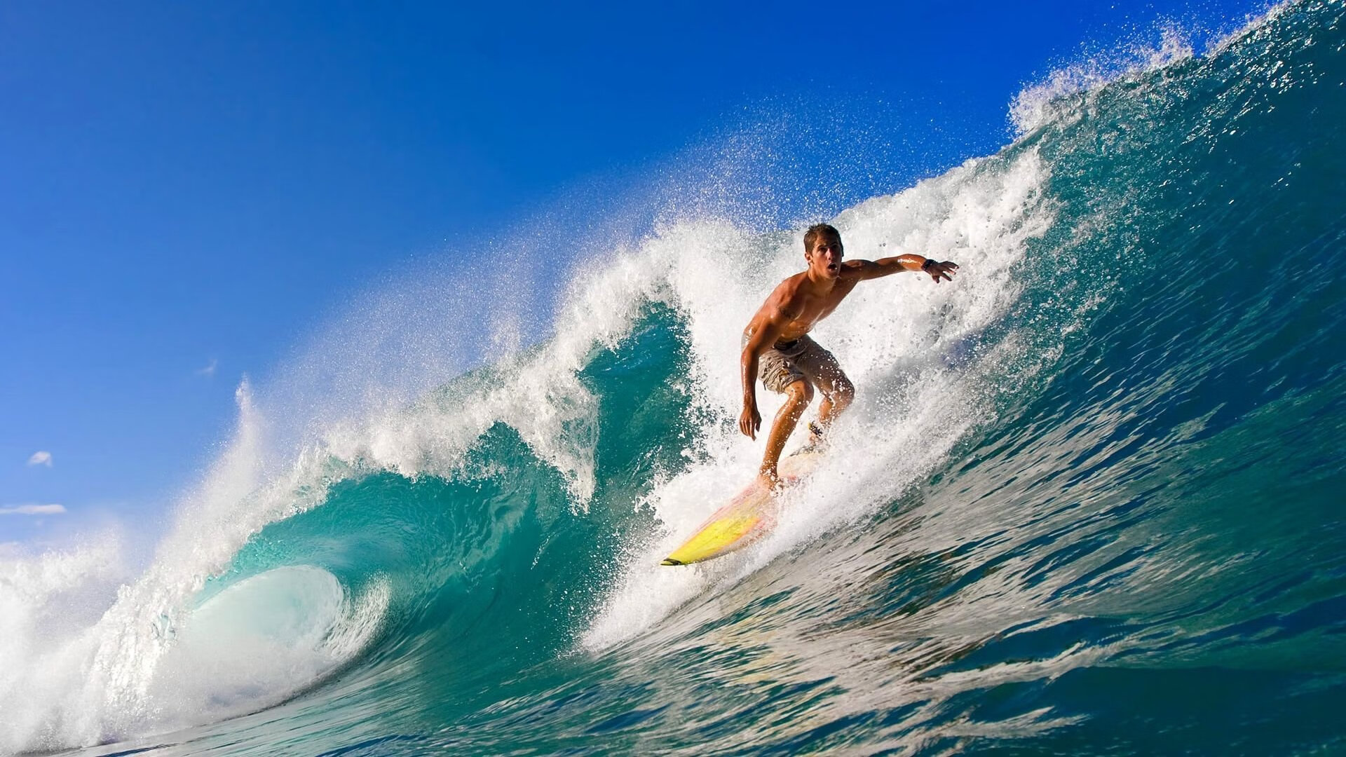 猛龙生死战力克奇才，切特全程高能输出定乾坤